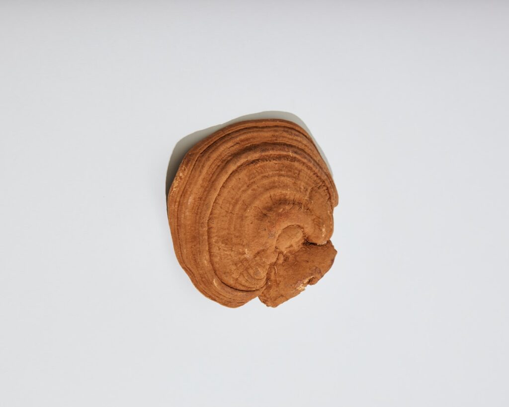 a cookie with peanut butter on top of it