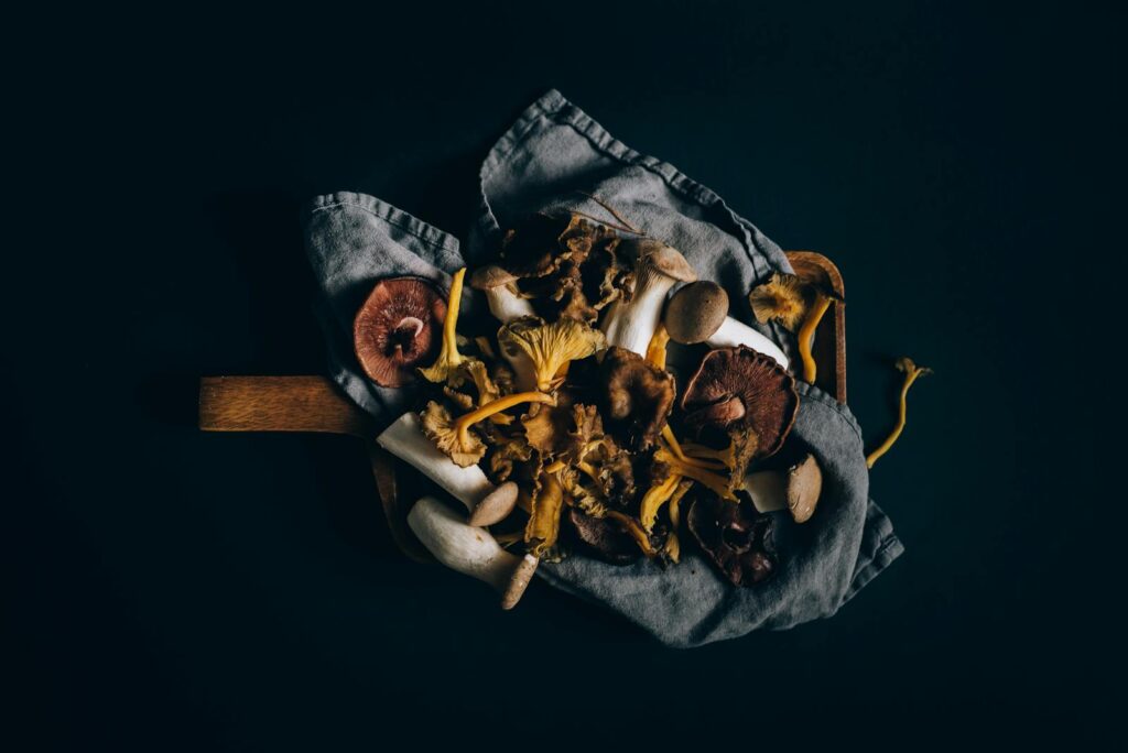 A variety of fresh mushrooms arranged on a dark fabric background, highlighting textures and colors.