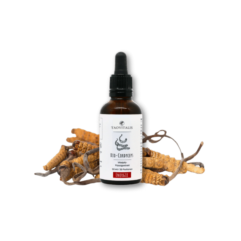 Bio-Cordyceps Flüssigextrakt